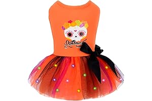 Perro Pequeño Disfraz de Halloween con Luz LED