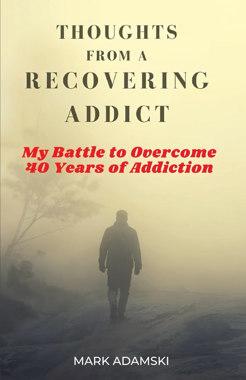 THOUGHTS FROM A RECOVERING ADDICT: My Battle to Overcome 40 Years of Addiction