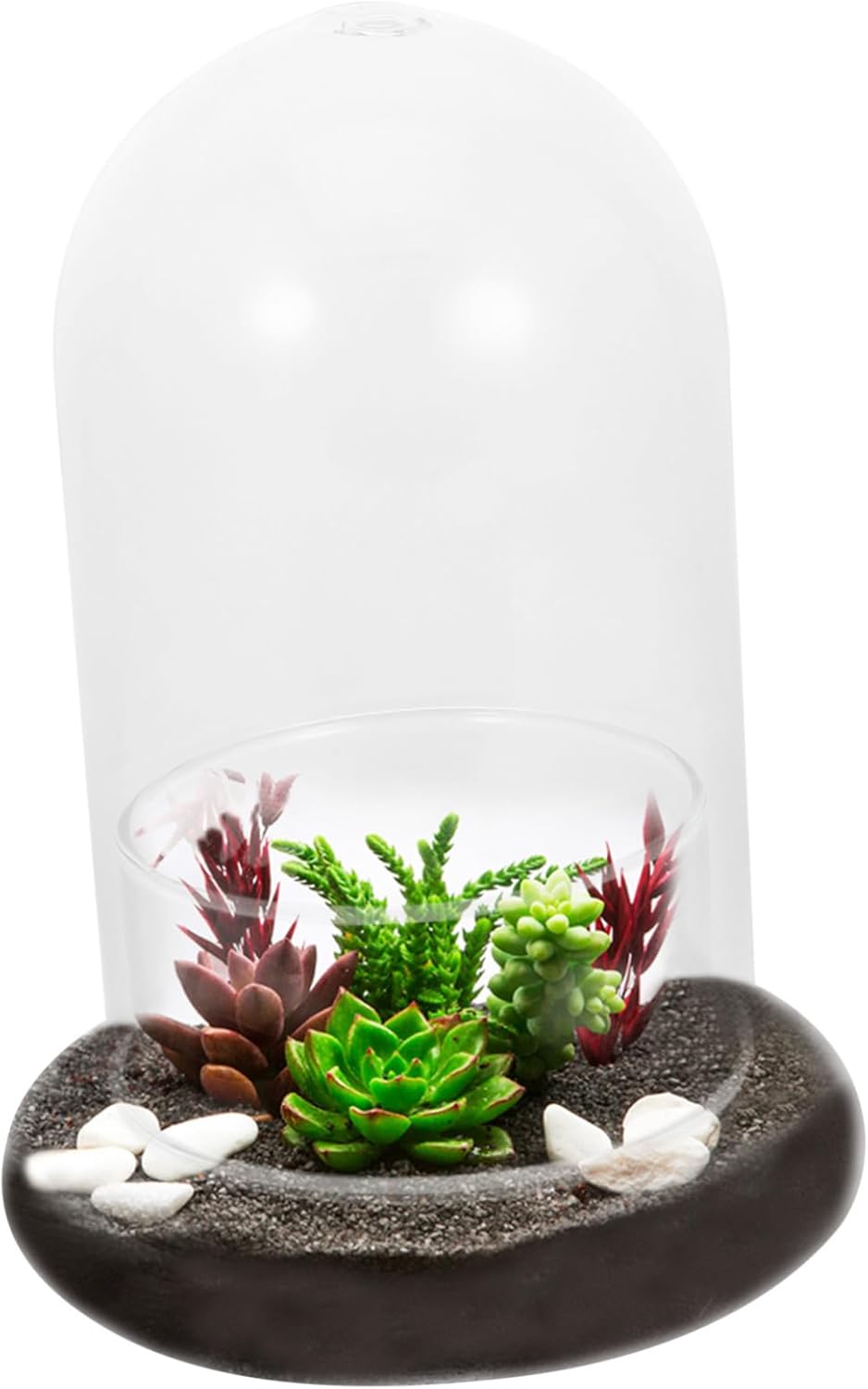 Happyyami 2pcs Miniature Glass Terrarium Bottle Hole for Micro Landscape and Moss Decoration for Home Decor Housewarming and DIY Projects