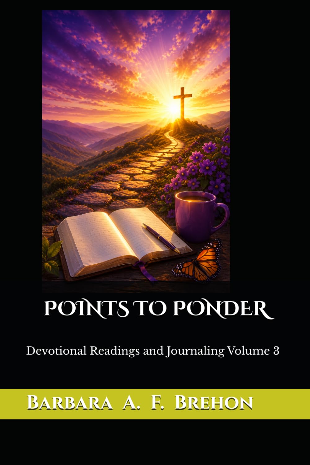 POINTS TO PONDER: Devotional Readings and Journaling Volume 3