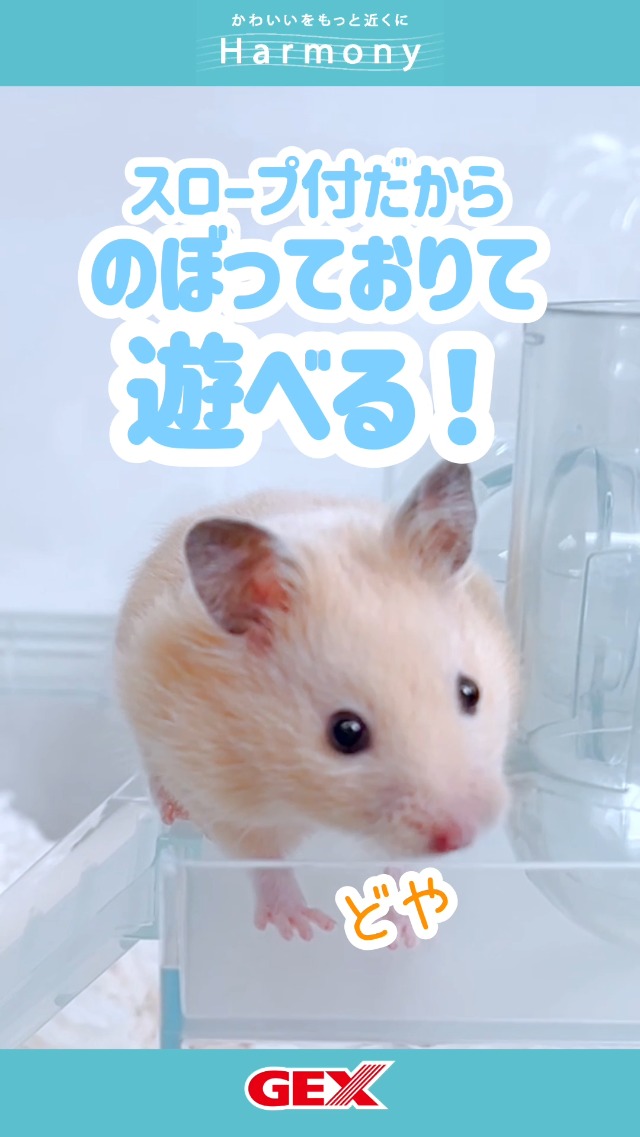 ハムスター① Amazon.co.jp: ハーモニーステージ L : ペット用品