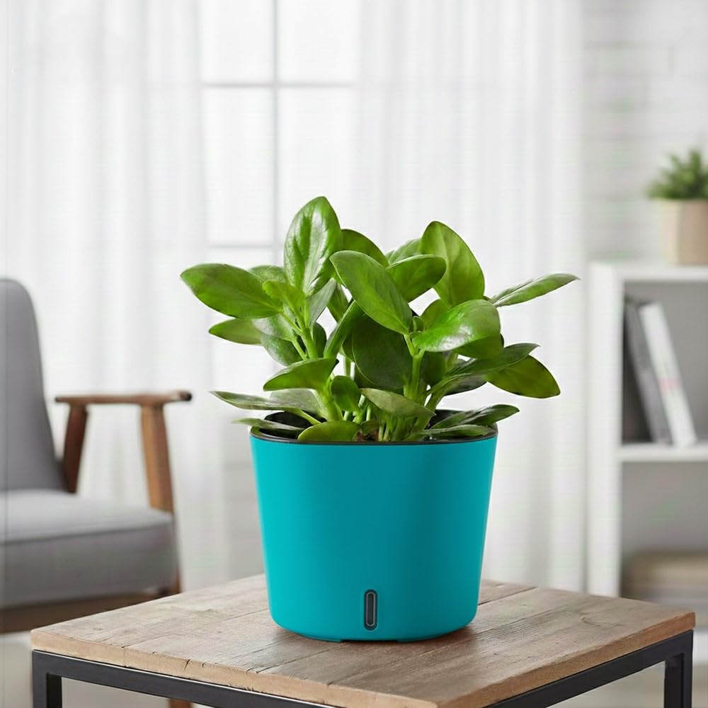 GARDENCIA Self Watering Pots - Modern Plant Cachepots -22 GARDENCIA Self Watering Pots - Modern Plant Cachepots -22