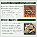 Organic Beeswax Wraps | Reusable, Eco-Friendly Food, Sandwich, Snack Wrap | Plastic Free | Premium Set of 6, 1 Large, 1 Medium, 1 Small Wrap, Button, Tie and Refresh Wax for Longer Usage