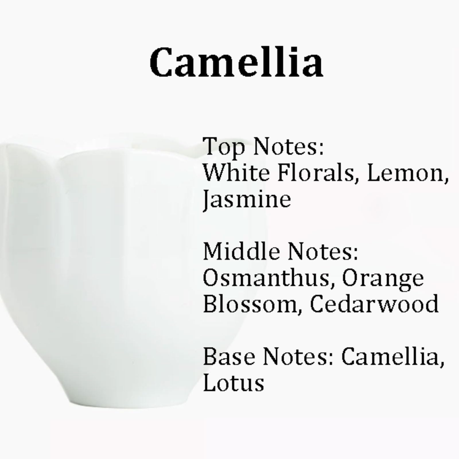 Exquisit świece ceramiczne, cylindryczna świeca zapachowa, nowoczesna świeca do aromaterapii, trwała, do domu, na urlop, do relaksu i spa miękka (Camellia)