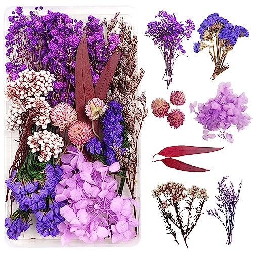Flores Secas Naturales para Resina, Manualidades DIY, Joyería, Vela, Arte de Uñas, Artesanía, Scrapbooking y Decoración Floral (Morado y Rojo)