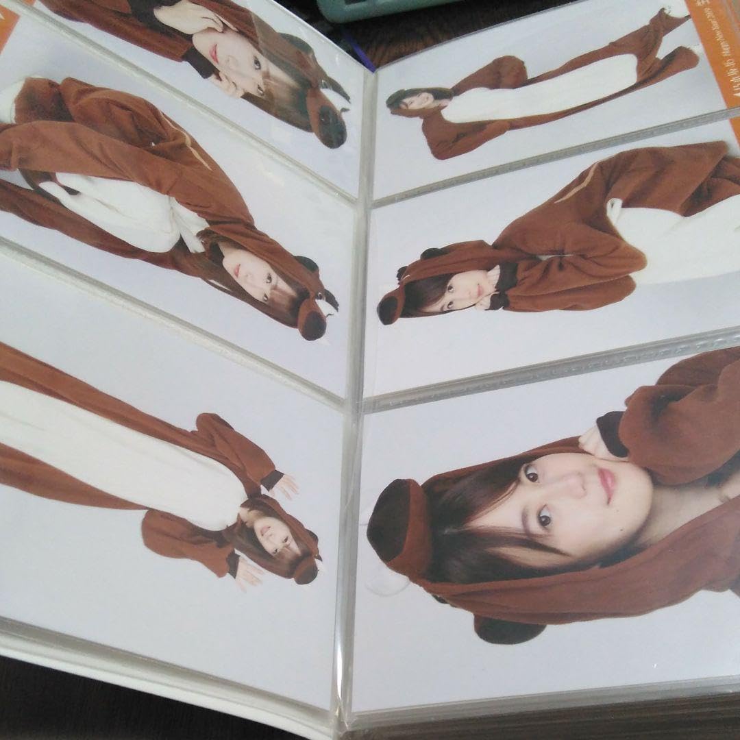 Amazon.co.jp: 乃木坂46 生写真 干支 亥 182枚 まとめ売り : おもちゃ