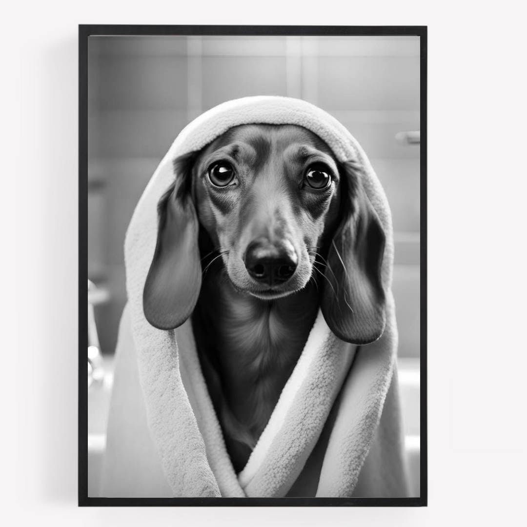 Funny Bathroom Toilet animal Print Picture Poster sausage dachshund dog dressing gown A4 UNFRAMED wall art Home decor Decorating