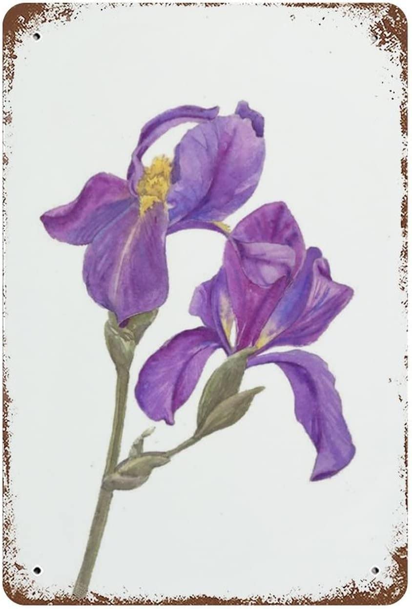 Kisoyo Women's Tin-13 Vintage Metal Tin Sign Violet Flower Iris Flowers Botanical Painting Art Print Home Decor Funny Novelty Kitchen Bar Club Garage Garden Farm Wall Art Tin Signs Gift For 12X16 Inch Plaque Tin Sign