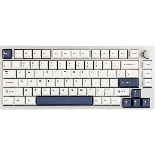 EPOMAKER P75 Wireless Aluminum Mechanical Keyboard, Bluetooth 5.0/2.4GHz/USB-C Hot Swappable Custom Keyboard, Gasket Structure, RGB Backlit, for PC/Tablet/PS/Xbox (Silver, Wisteria Tactile Switch)