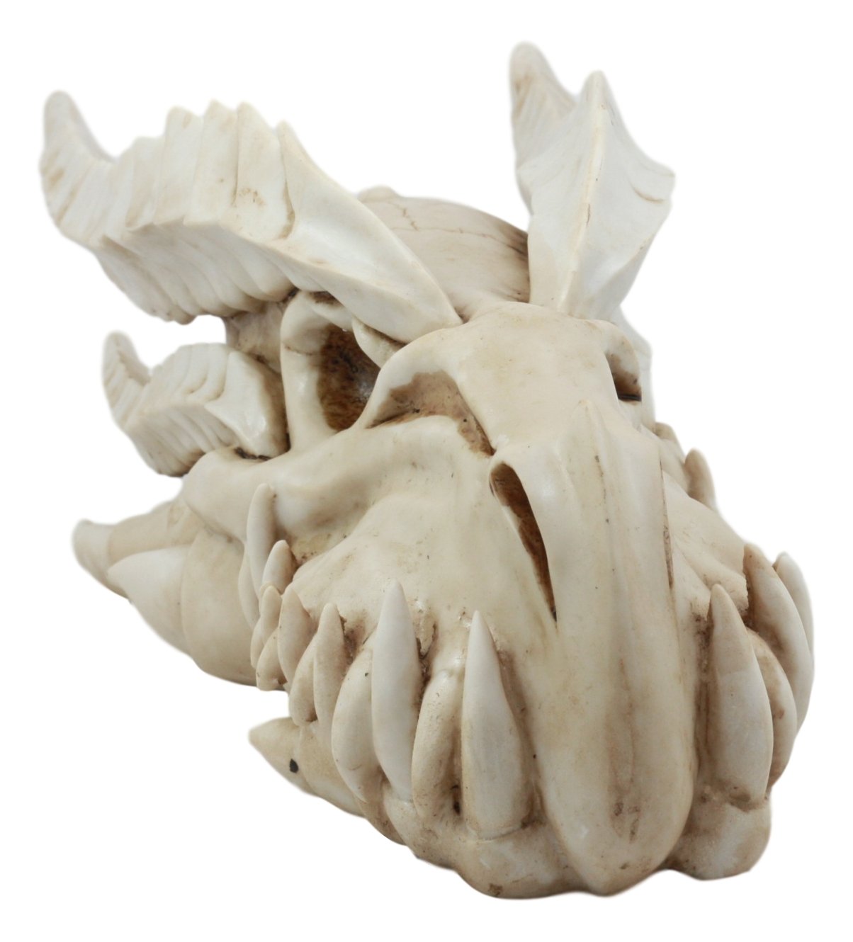 Gifts & Decor Large Dragon Fossil Skull Remains Legendary Beast
