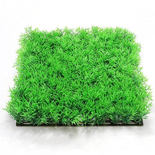 Vasuworld Aquarium Decoration Artificial Plastic Aquarium Grass Plant Mat (B01MUGU2RW) Amazon Price History, Amazon Price Tracker