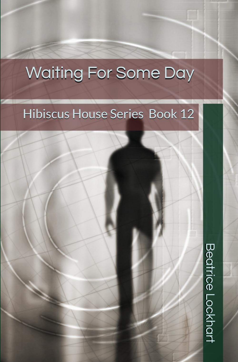 Waiting For Some Day (HIBISCUS HOUSE SERIES)