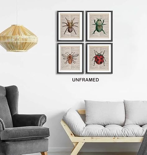 Aehie Vintage Honey Bee Spider Ladybug Beetle Dictionary Art Poster Prints For Home Kitchen Nursery Classroom Decor,Garden Forest Nature Insects Decorations Prints Wall Art Unframed 4Pcs 8X10Inches #TOP1
