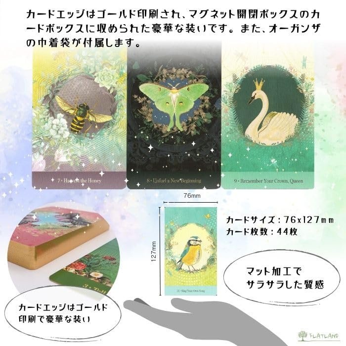 Amazon.co.jp: 【日本語解説書付き】ラブ・フー・ユー・アー・オラクル