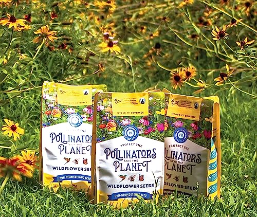 BUZZY Wildflower Pollinator Seed Mix (1lb Bag), 18 Pollinator-Friendly Varieties, Protect The Pollinators & Save The Planet, Coneflower, Sunflower, Calendula, Cosmos, & More, Growth Guaranteed - Thumbnail 4