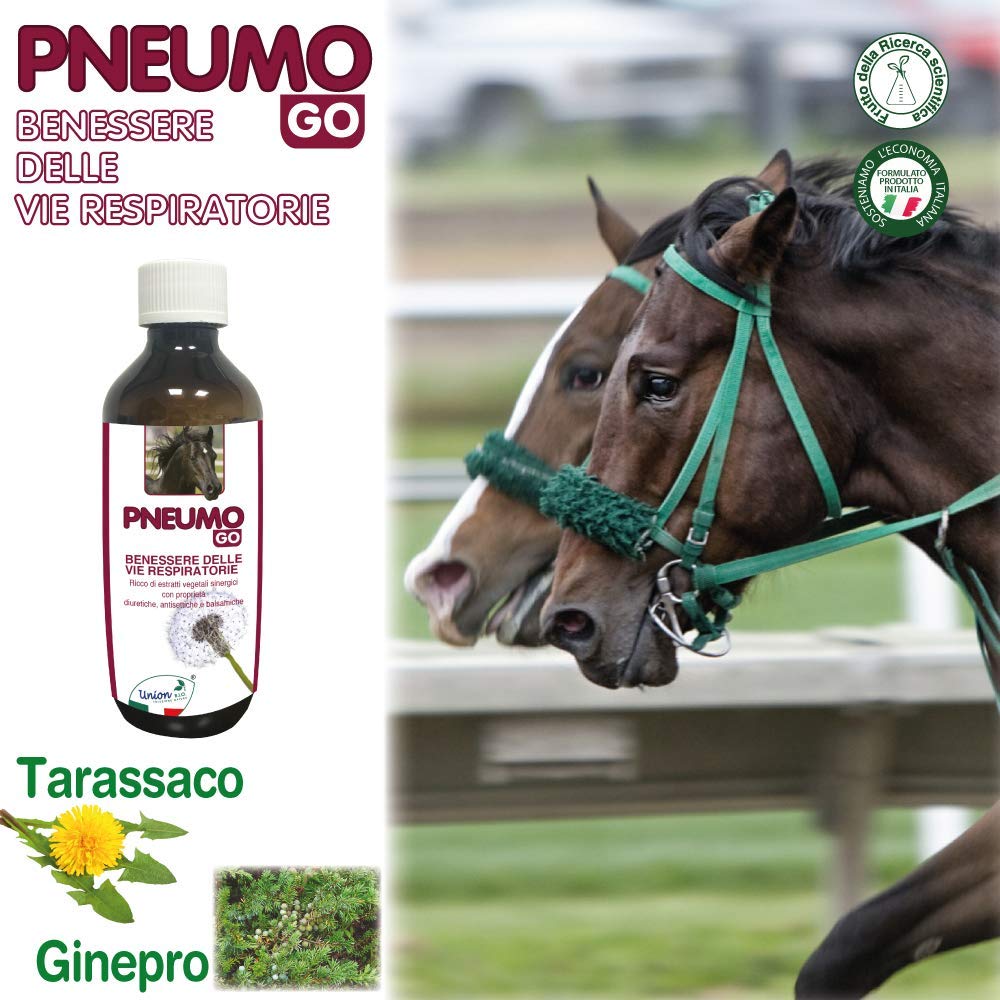 Union Bio® Pneumo Go 200 ML - Drenante Fluidificante Muco Per Cavallo, Mangime Completare Naturale Ricco Di Estratti Vegetali Sinergici Con Proprietà Naturali Balsamiche, Antisettiche E Diuretiche