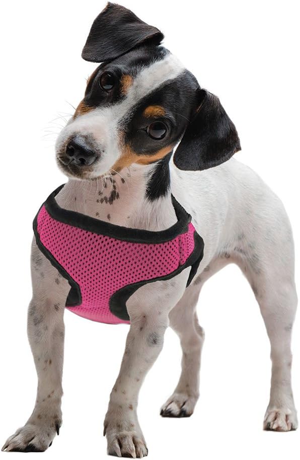 Weebo PetsSoft'n'Safe Adjustable Dog Harness (Pink, XS)