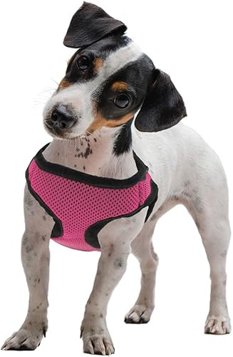 Weebo Pets Soft'n'Safe - Arnés ajustable para perro (rosa, XS)