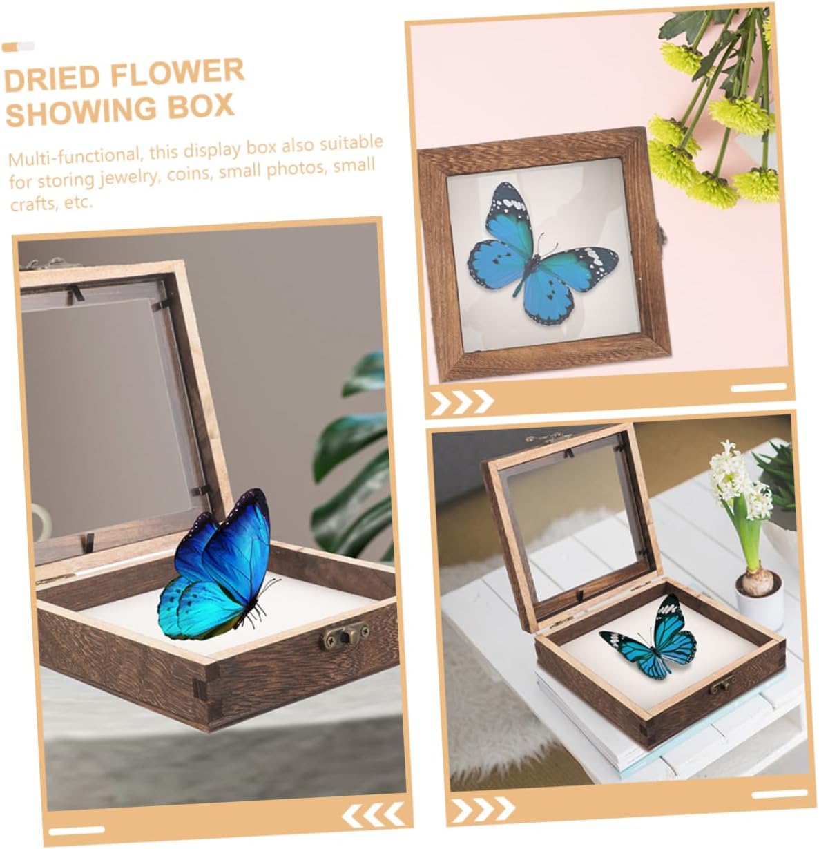 PRETYZOOM 5pcs Wooden Insect Specimen Case Butterflies Shadow Box Display Holder for Collectibles