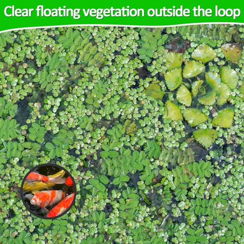 Image of 5 PCS Aquarium Feeding Ring Floating Feeder Ring Floating Plant Corral Aquarium Floatings Plant Rings Fish Feeder Rings for Fish Tank 5 Sizes Round Plants Corral for Keeping Plants in Place (Black)