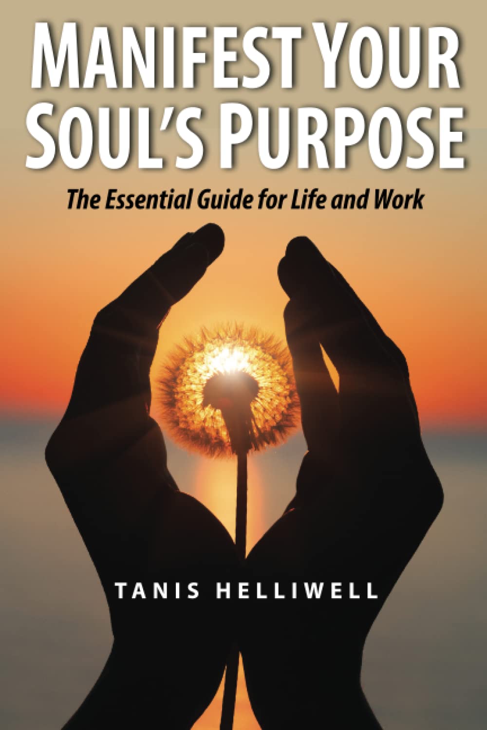 Manifest Your Soul's Purpose: The essential guide for life and work