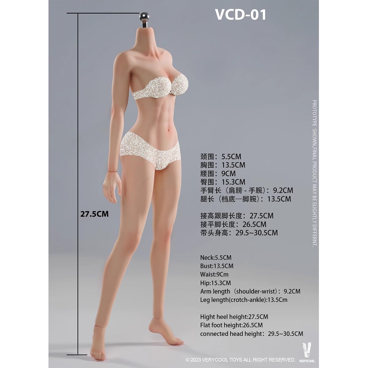 Amazon | HiPlay VERYCOOL 1/6 シームレス 女性 素体 中胸版 足取れ
