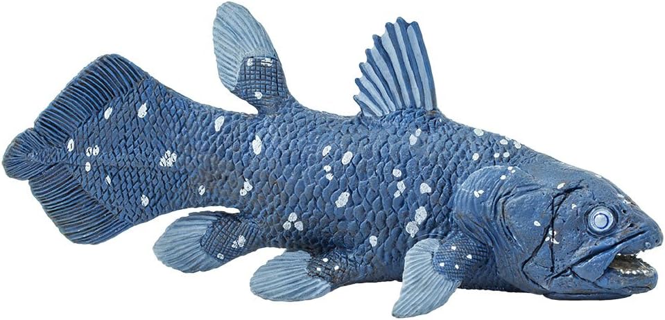 Toob Coelacanth,15 cm lang