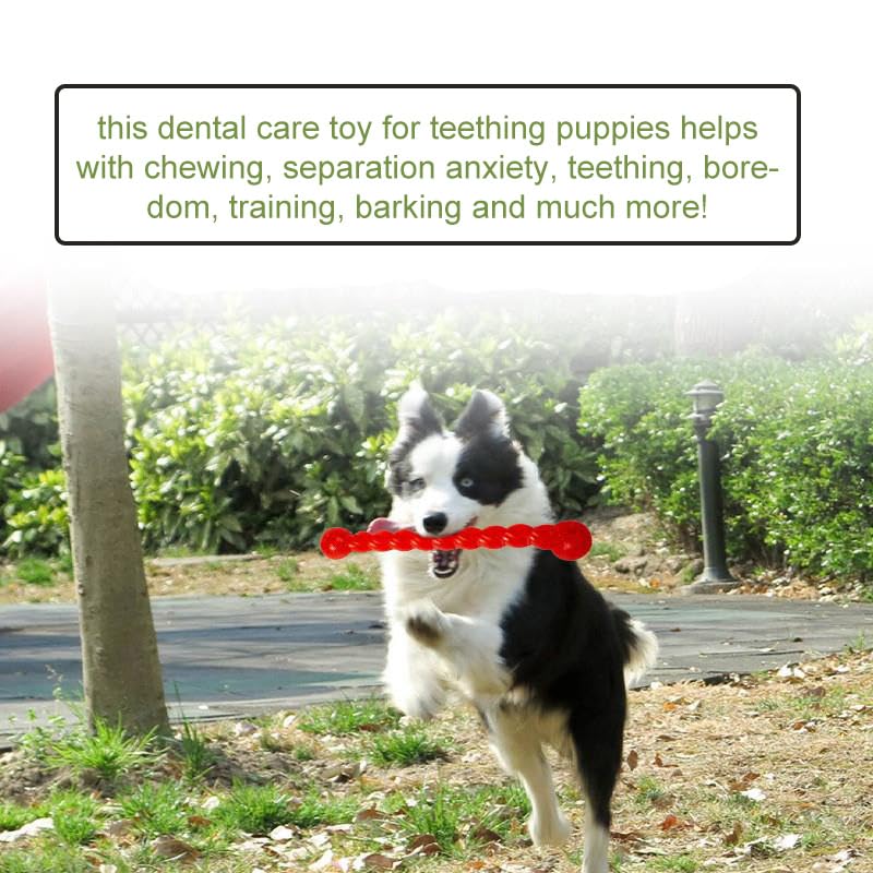 2 Pieces Hundespielzeug Für Zähne, Hundespielzeug Gummi, Gummi Spirale Kauknochen, Hundezahnbürste Haustier Mundpflege, Hundemolarenstab Welpen Intelligenzspielzeug Weich Beißwiderstand, Rot + Grün