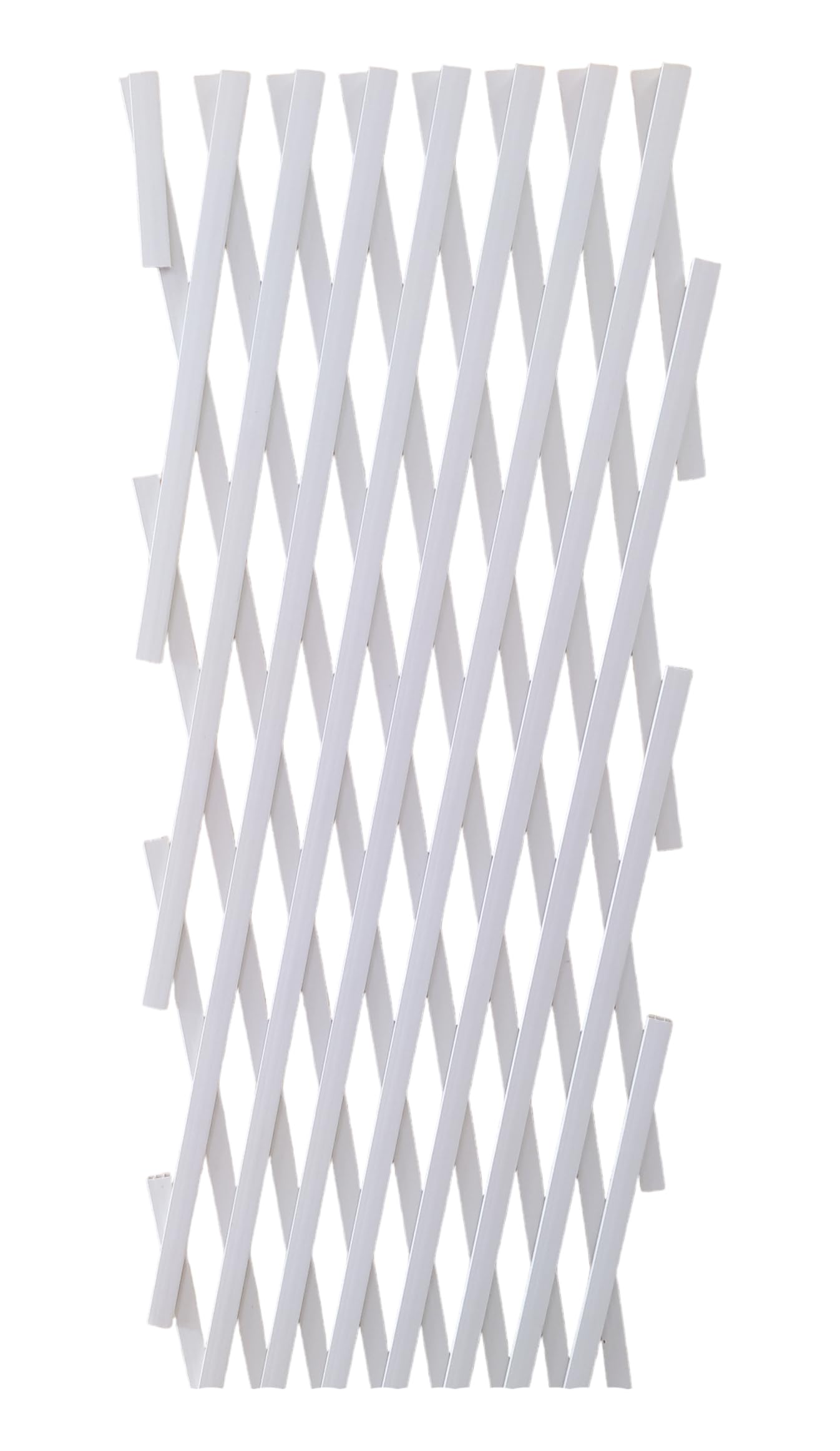 NG NICCOLAI - TRALICCIO ESTENSIBILE IN PLASTICA VARI COLORI E MISURE (1X1 MT, BIANCO)