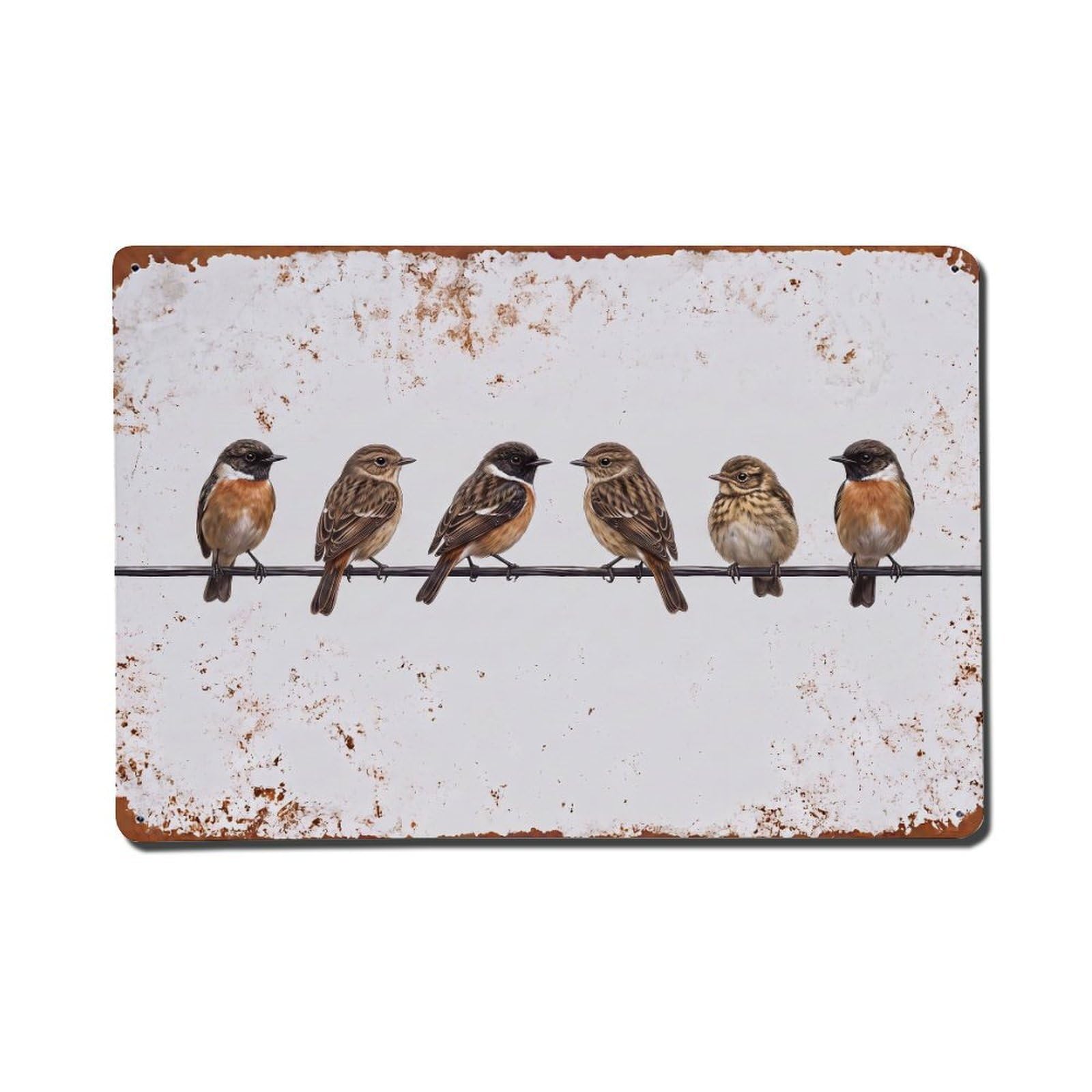 Vintage Retro Birds Stonechat Metal Tin Sign