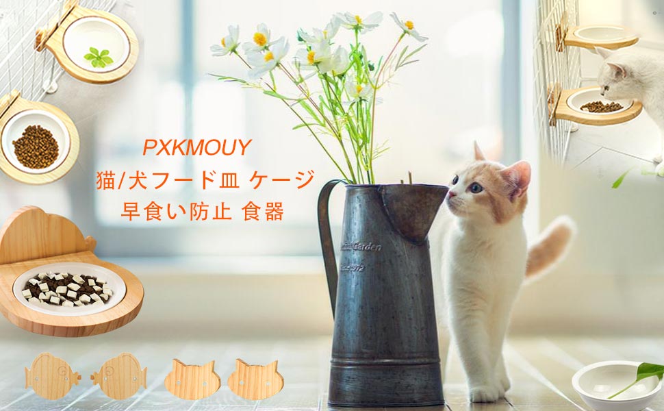 Amazon | 猫 犬 食器ご飯皿 お皿 ゲージに装着専用ボウル餌皿 2のみ猫
