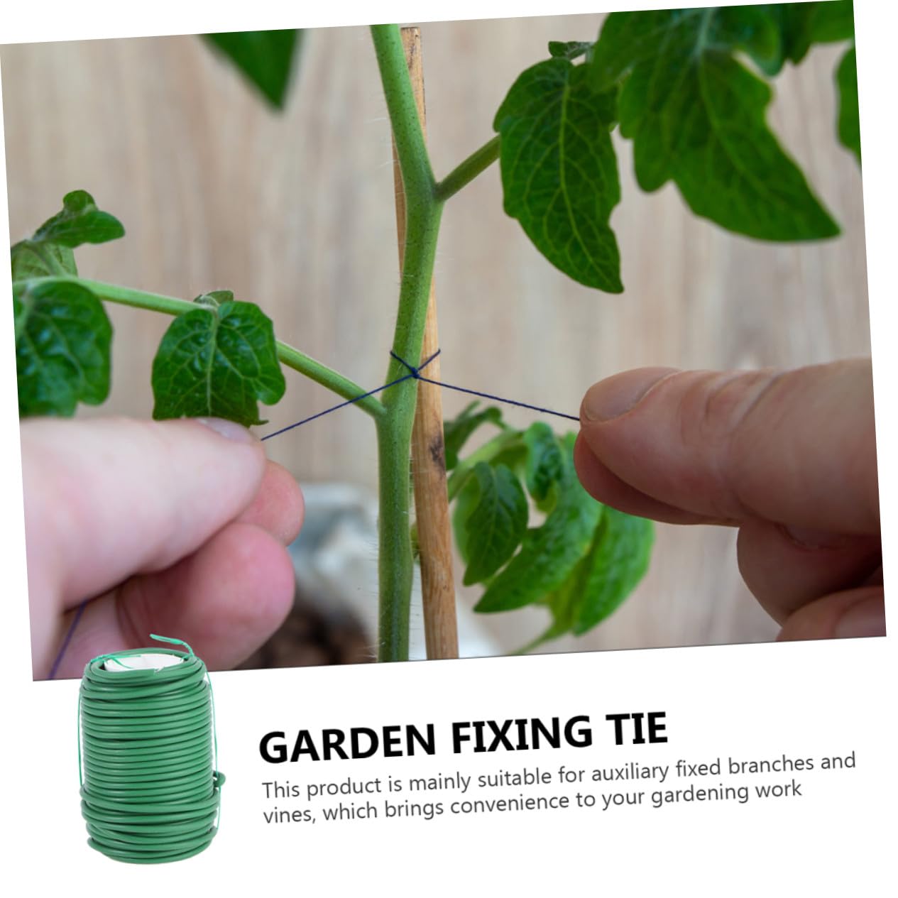 Befestigungsdraht für Gartenpflanzen, 2 Rollen TPR Eisen Grün