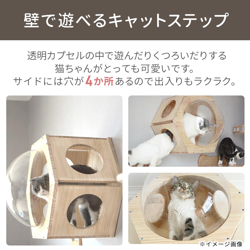 Amazon.co.jp: Bonarca キャットステップ 壁 透明 クリア 猫 宇宙船