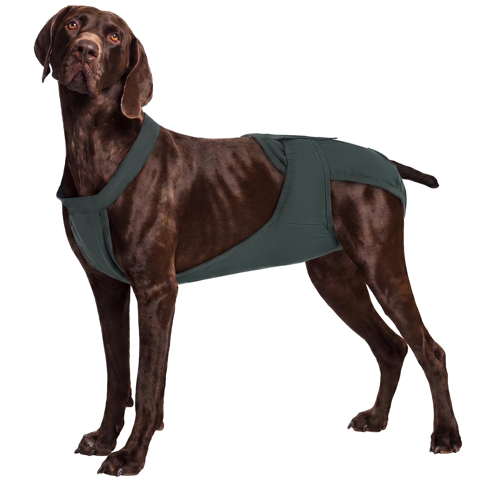 IECOii Pantalones de temporada para perros, pañales reutilizables y lavables para perros, pantalones para mascotas a prueba de fugas con correas para los hombros, pañales antideslizantes con gancho y