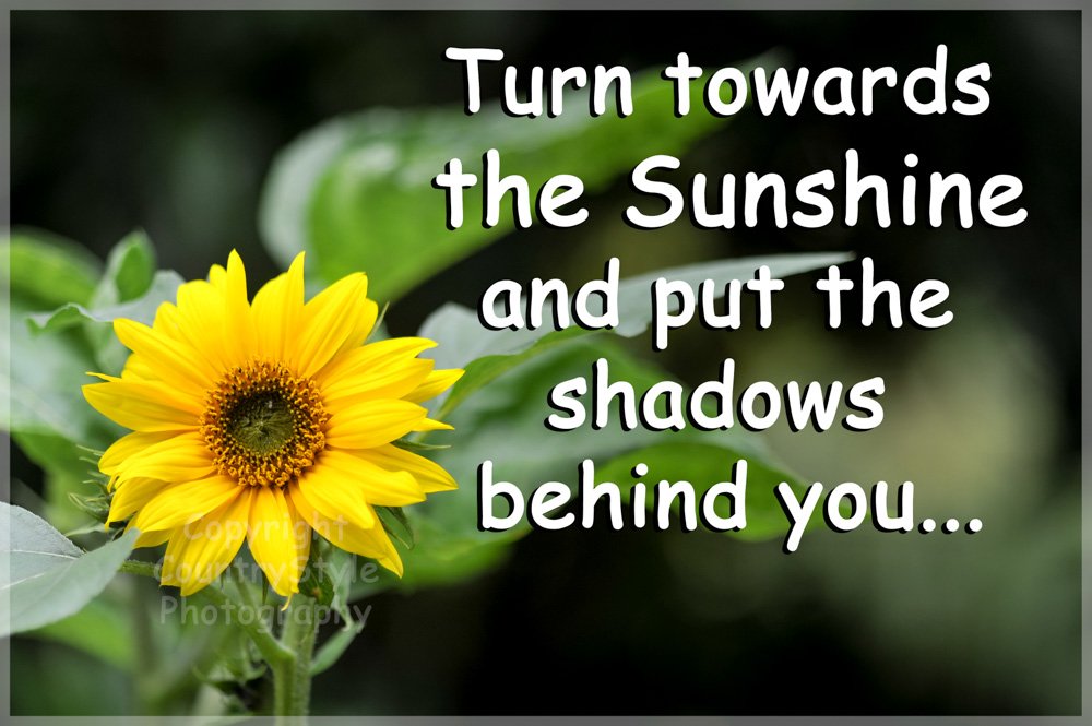 Gardeners Sunflower Fridge Magnet Gift - Inspirational Quote Turn Towards The Sunshine. Perfect Exclusive Birthday or Christmas Gift