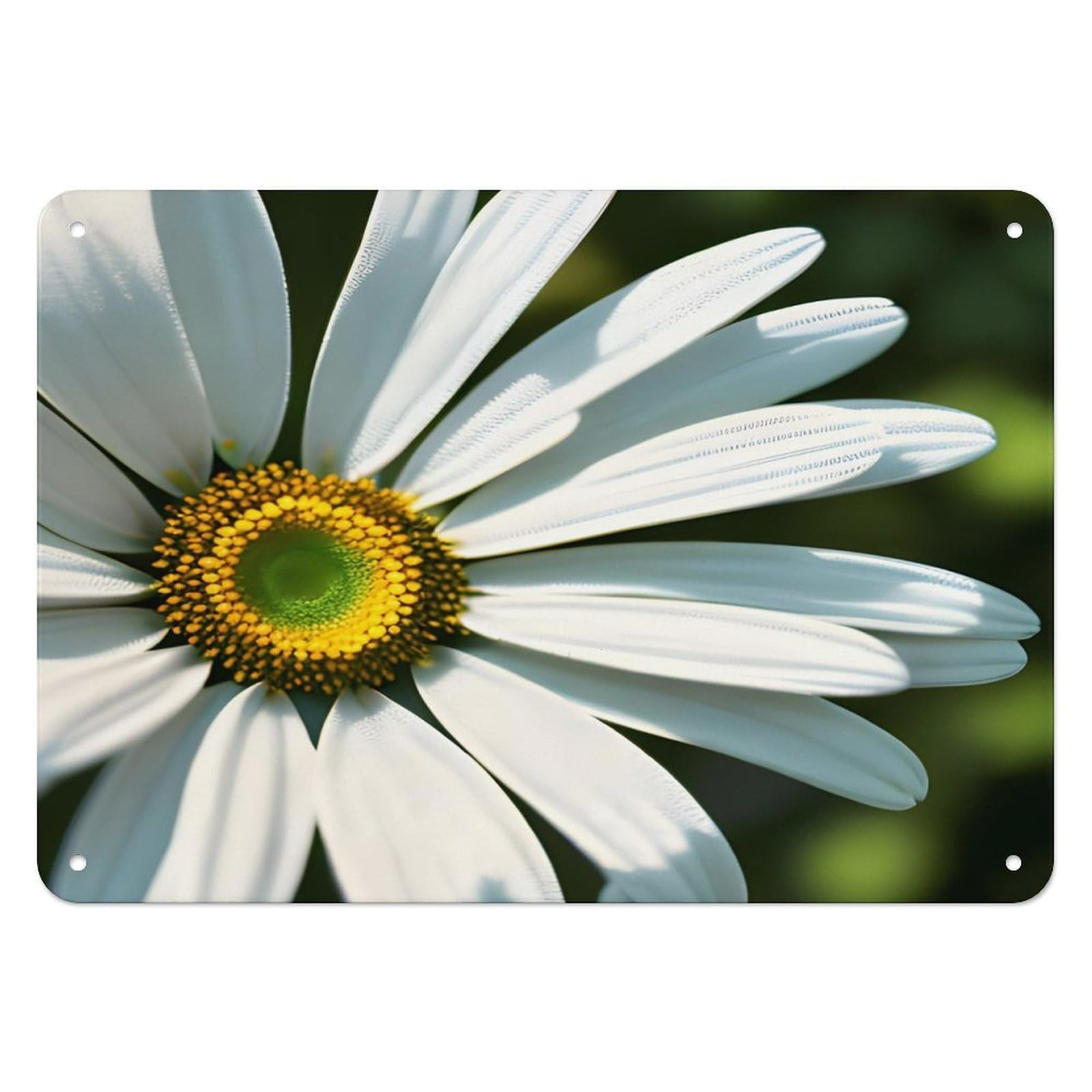 Btcowzrv Style Daisy Metal Sign, 5.5" X 7.9" Tin Wall Decor, Wall Art Plaques For Home Wedding Decor Room Living Room Decoration