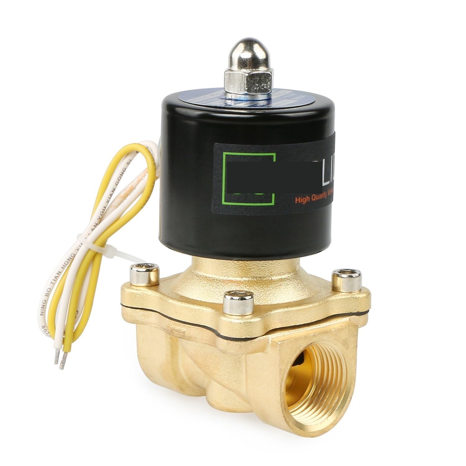 Électrovanne 110V AC NPT 1,9 cm pour automatiser les circuits d'eau domestiques et serres