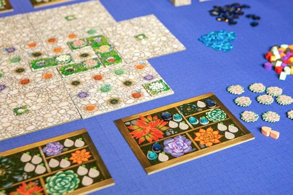 Renegade Game Studios RGS02062 Succulent Board Game : Amazon.com.au: Toys &  Games