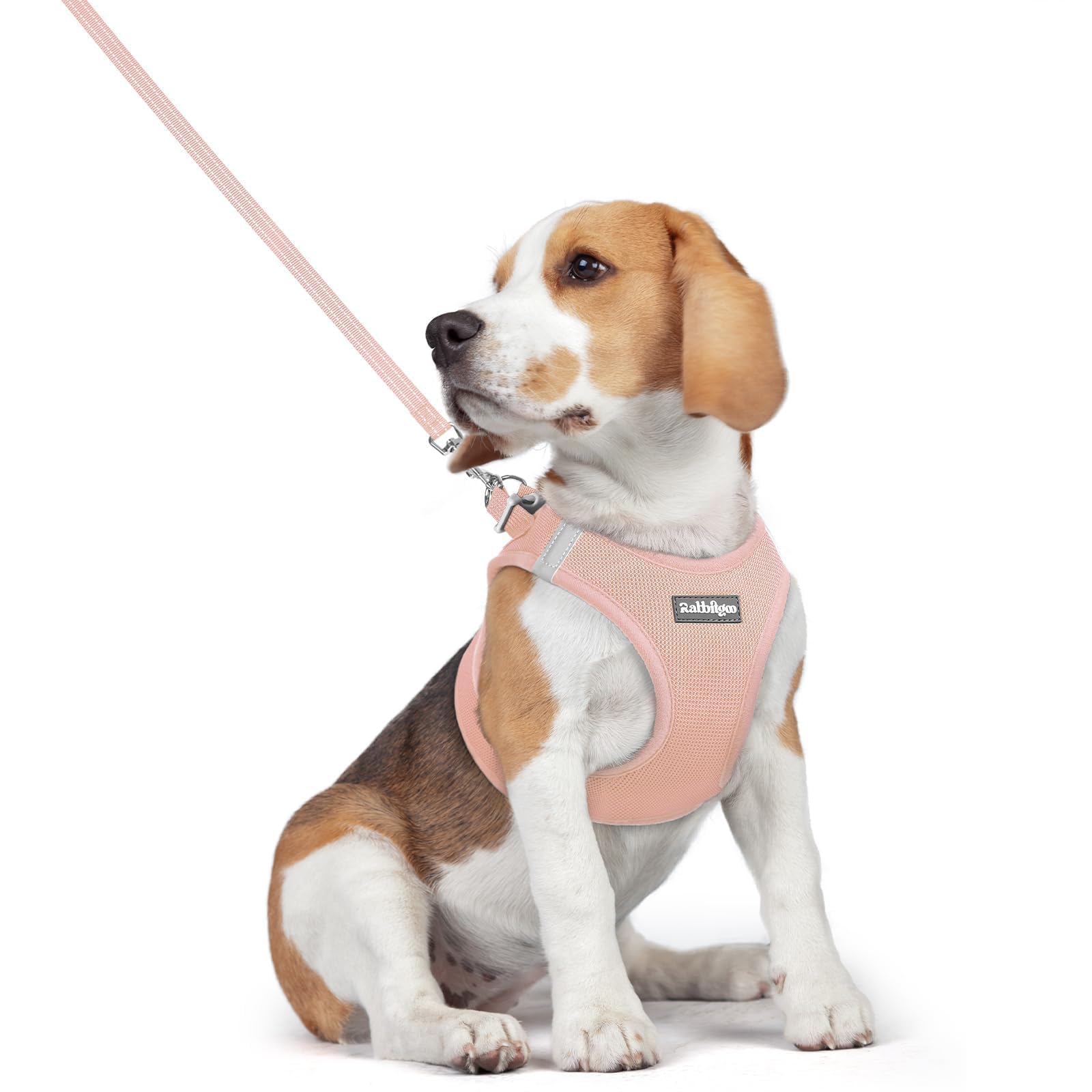 rabbitgoo Dog Harness Medium Sized and Leash Set, Step-in Puppy Pet Vest