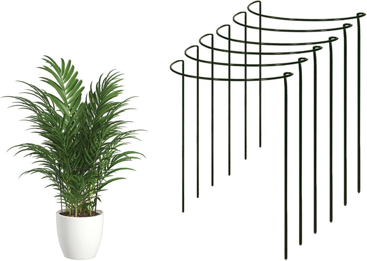 Plant Support Stakes - Ring Cage Metal Garden Plant Stakes. Green Half Round Plant Support Ring. Plant Supports for Pots and House Plants. (9, 36cm Tall x 19cm Wide)