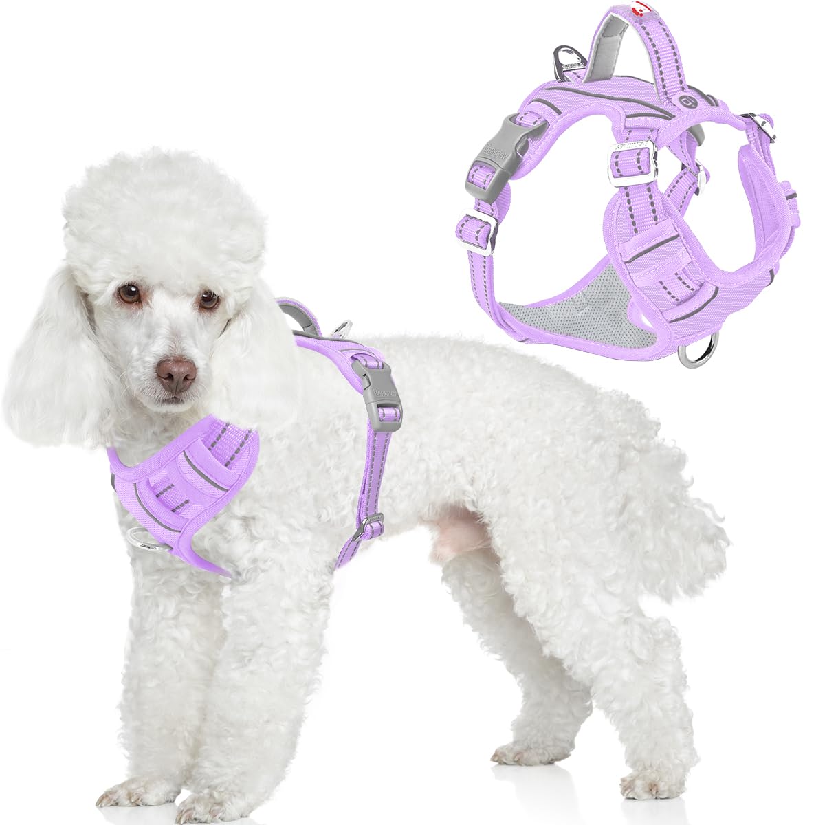 BARKBAY Dog Harness No Pull Oxford with ID Tag Pocket - Heavy Duty, Reflective, Easy Control for Large Dogs(Violet Purple Oxford,XS) — image 1