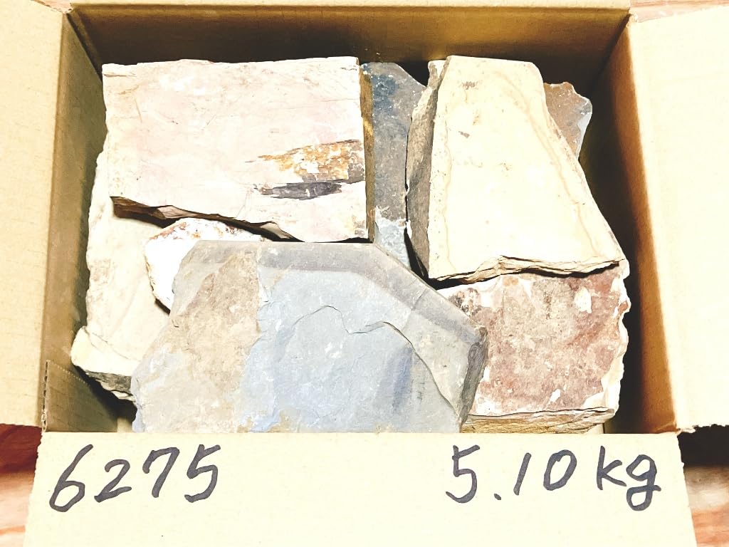 時代提げ物 人物根付 天然素材 在銘【江戸職人】高さ約3.3cm 重さ約40ｇ 時代提物 七福神根付 天然素材 在銘(友正)【大黒様】高さ約5cm