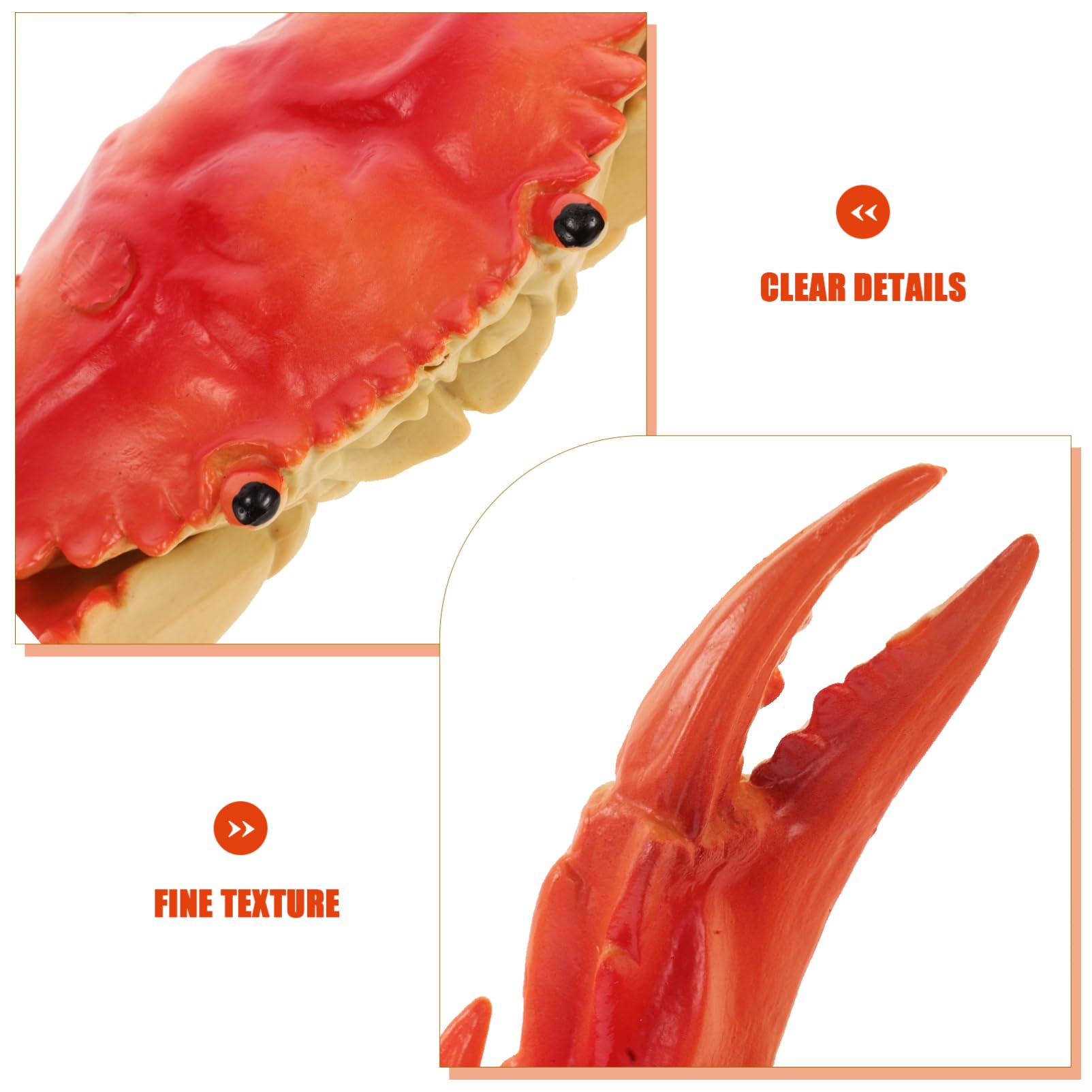 SUPVOX Adorable Realistic Crab Model for Ocean Theme Parties Vibrant Decoration for Gardens Photography Lightweight Vinyl Fake Crab with Fine Craftsmanship Authentic Look - Image 3