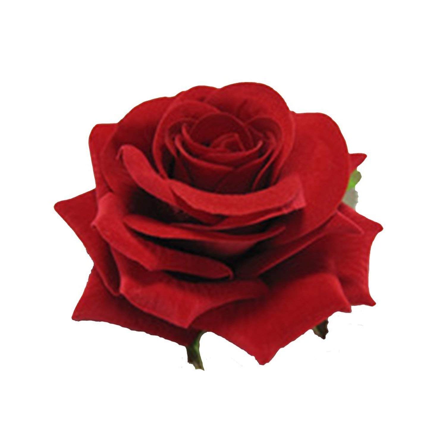 APSAMBRFashion Red Fabric Rose Flower Hair Clip For Women (Pack Of 2)