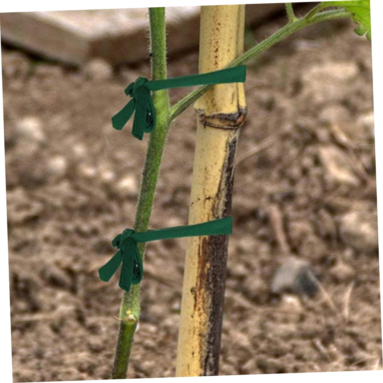UPKOCH 4rollen Baumstützgurt Garten Baumanker Zur Windstützung Baumstützbänder Für Schiefe Bäume Baumstütze Und Pfahl Befestigung