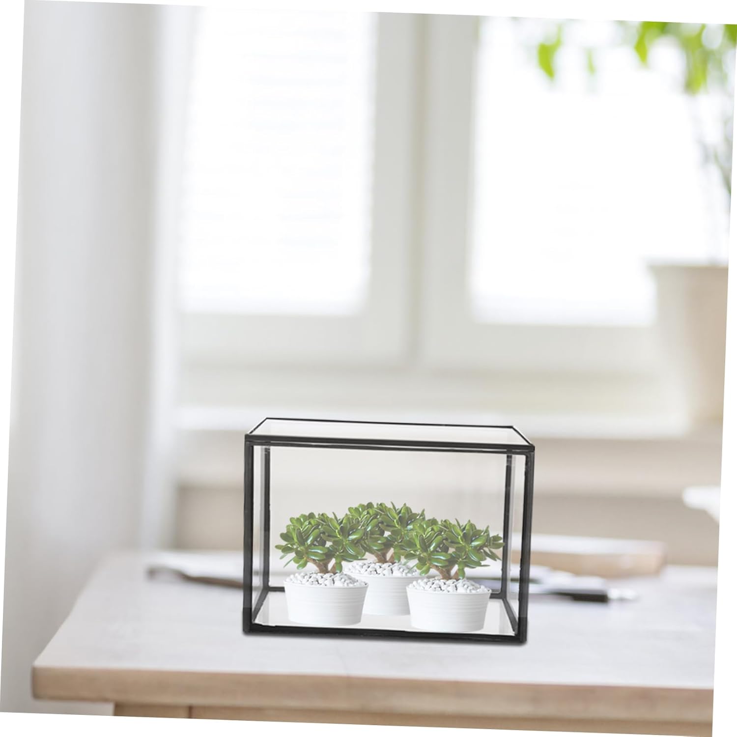 Micro Landscape Terrarium Holder Glass Container for Moss Plants Decorative Desktop Display for Use Creative Succulent Display Vase