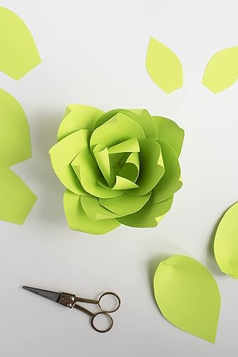 Miniatura 3 de Astrobrights Mega Collection, papel de color, verde brillante, 625 hojas, 24 lb89 gsm, 8.5 x 11 pulgadas - MÁS HOJAS! (91622)