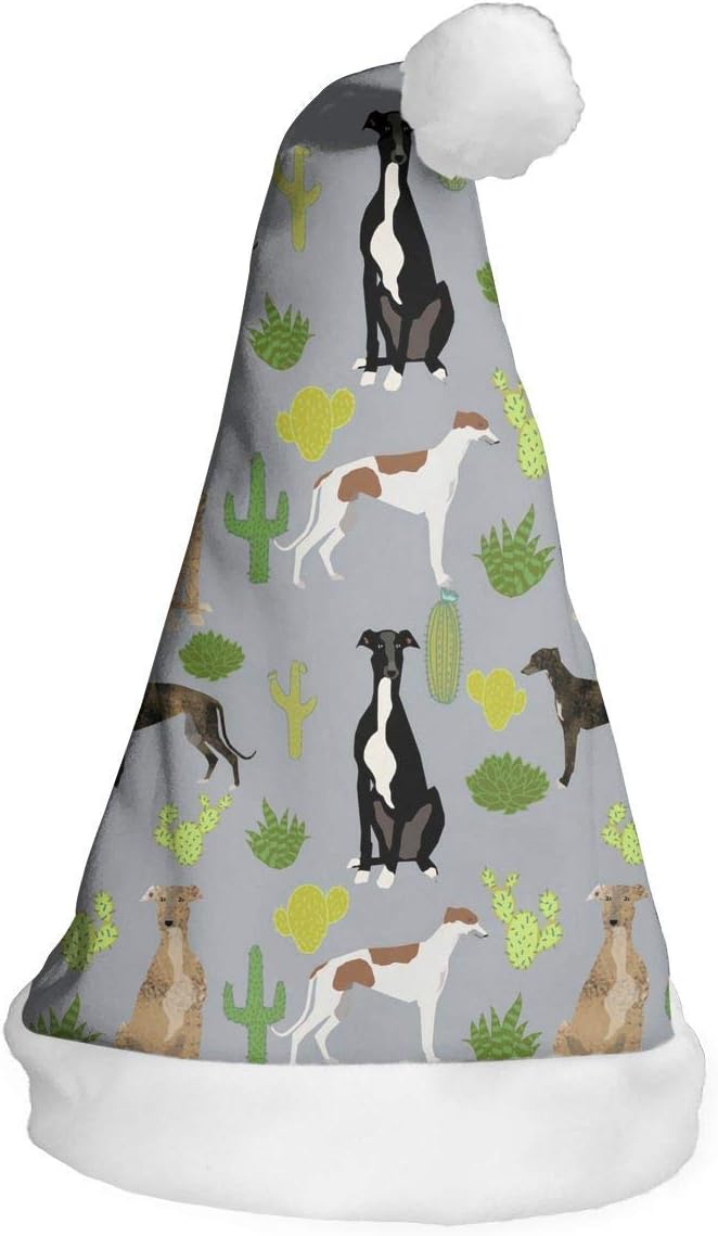 copricapo per pugili