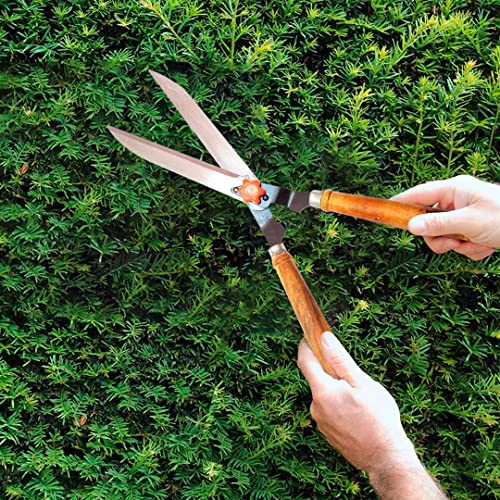 Image of Cinagro (Set of 3) Stainless Steel Gardening Tools, Pack of Hedge Shears with Wooden Handles, Pruning Shears and Gardening Scissors with Gloves, Sharp Blades for Easy Cutting (Multicolor)