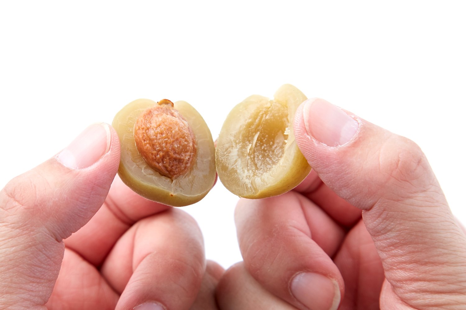 Amazon.co.jp: 天然生活 無着色 国産 大粒カリカリ梅500g/常温便